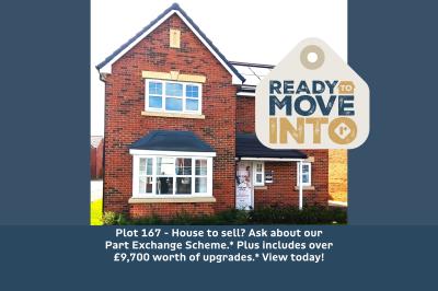 Plot 167  Royal Gardens