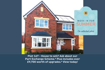 Plot 167  Royal Gardens