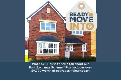 Plot 167  Royal Gardens